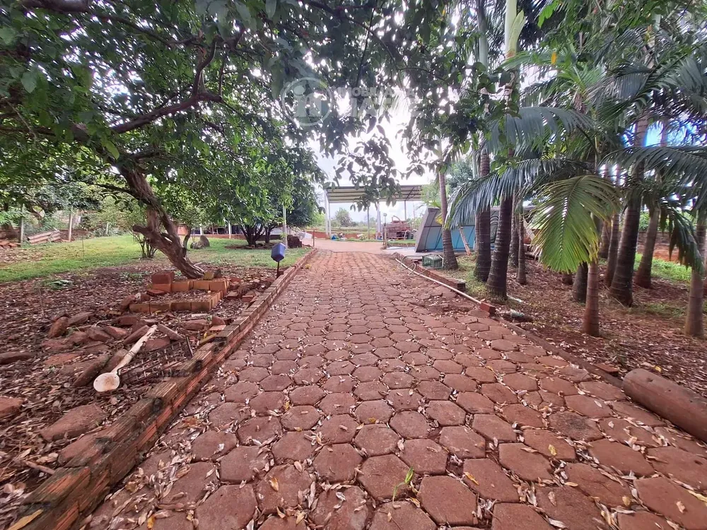 Chácara, 1 quarto, 3100 m² - Foto 4