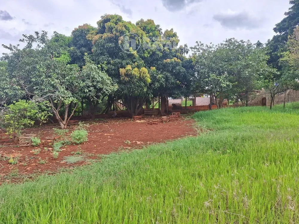 Chácara, 1 quarto, 3100 m² - Foto 8