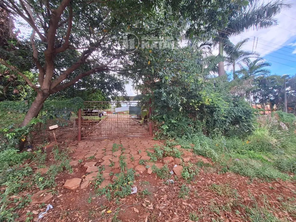 Chácara, 1 quarto, 3100 m² - Foto 1