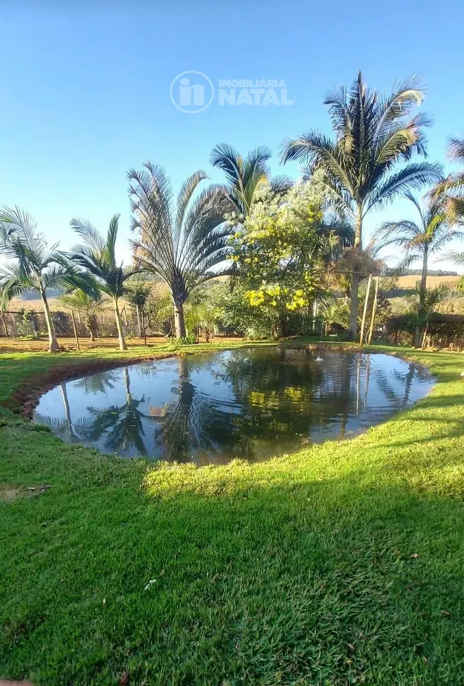 Chácara, 5 quartos, 4 hectares - Foto 7