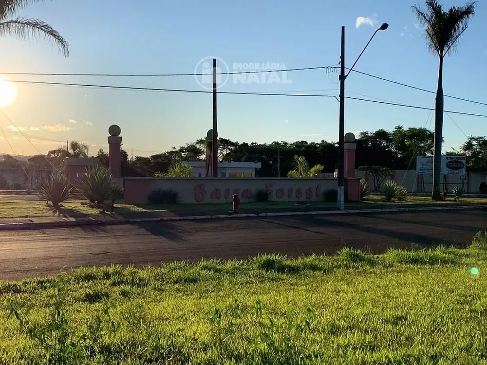 Terreno, 250 m² - Foto 3
