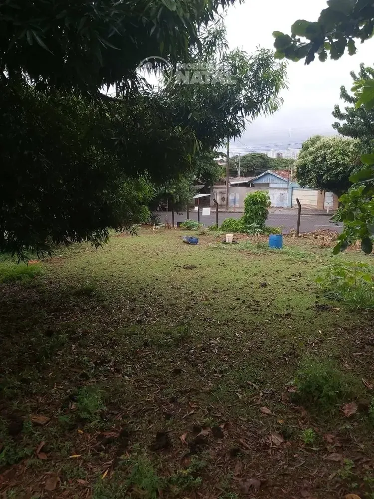 Terreno, 539 m² - Foto 11