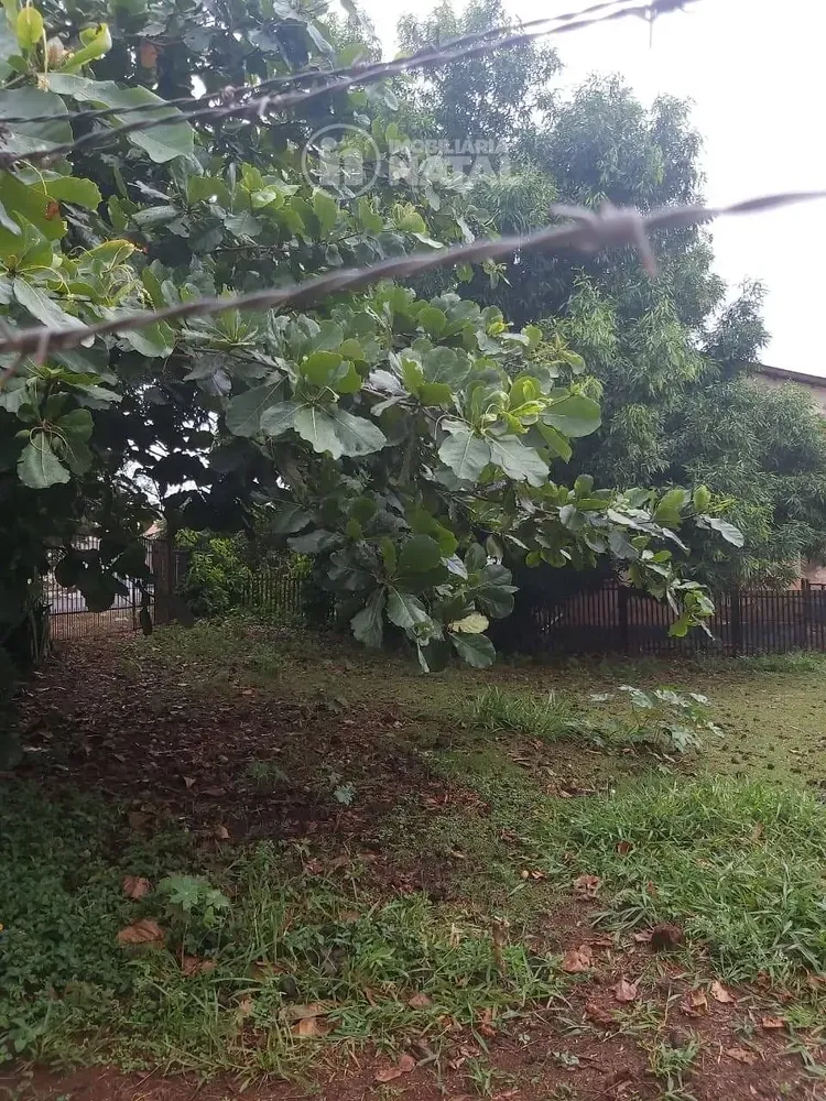 Terreno, 539 m² - Foto 6