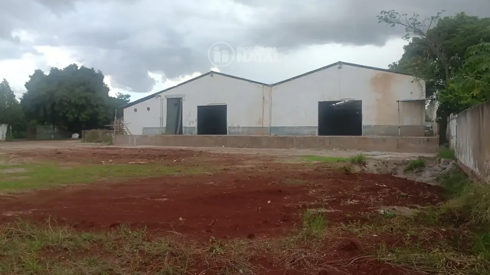Depósito-Galpão, 1100 m² - Foto 1