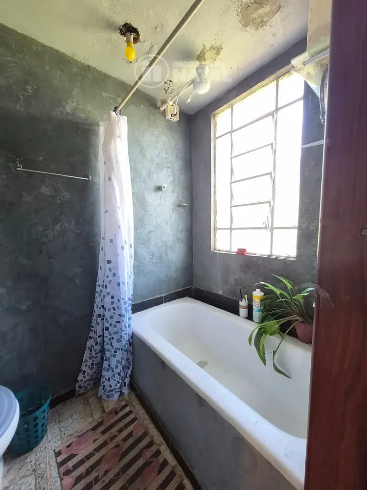 Chácara, 3 quartos, 2 hectares - Foto 4