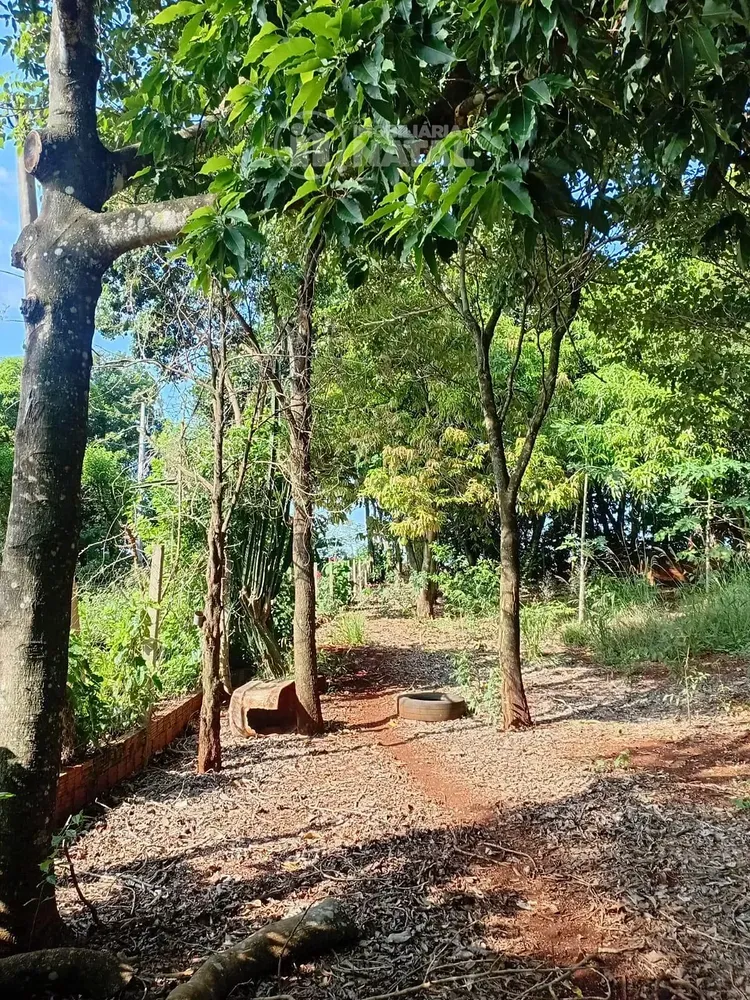 Chácara, 2 quartos, 5000 m² - Foto 3