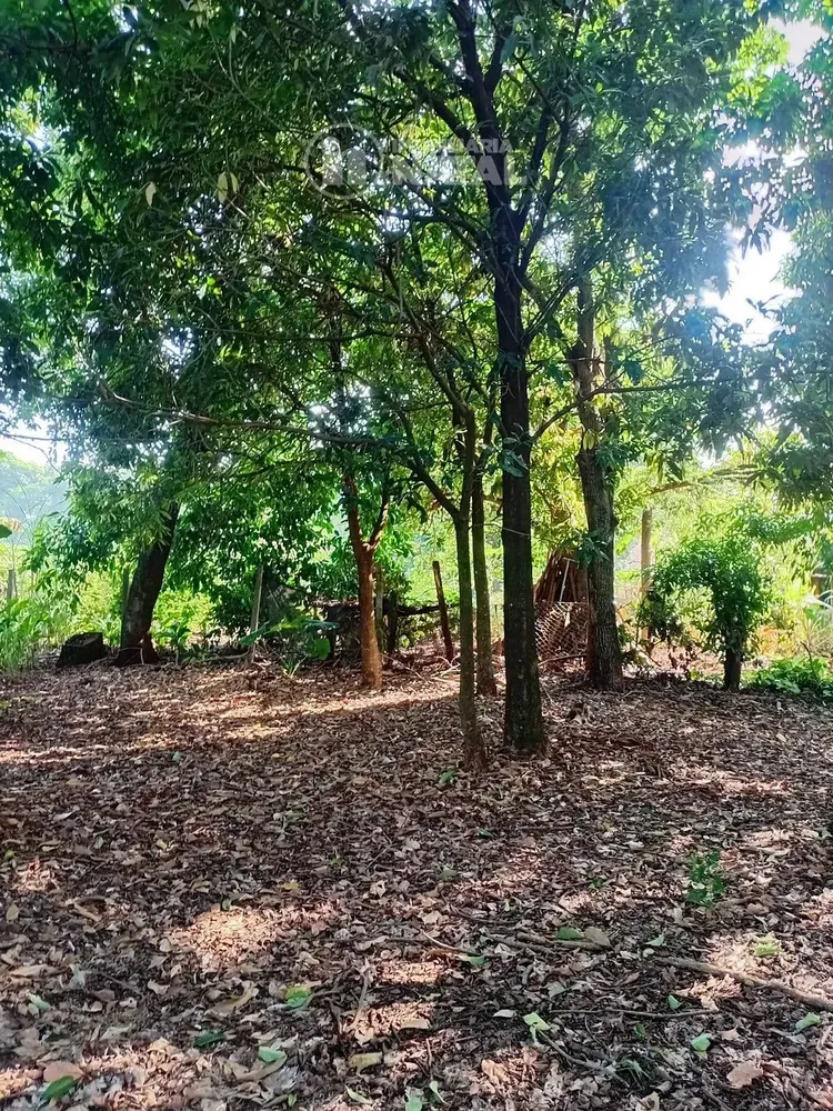 Chácara, 2 quartos, 5000 m² - Foto 6