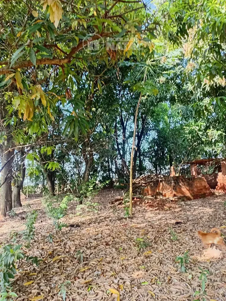 Chácara, 2 quartos, 5000 m² - Foto 3