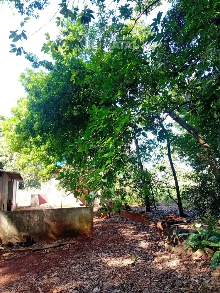 Chácara, 2 quartos, 5000 m² - Foto 8