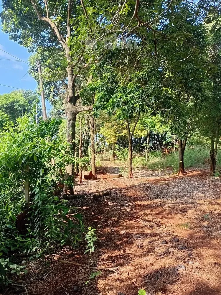 Chácara, 2 quartos, 5000 m² - Foto 8