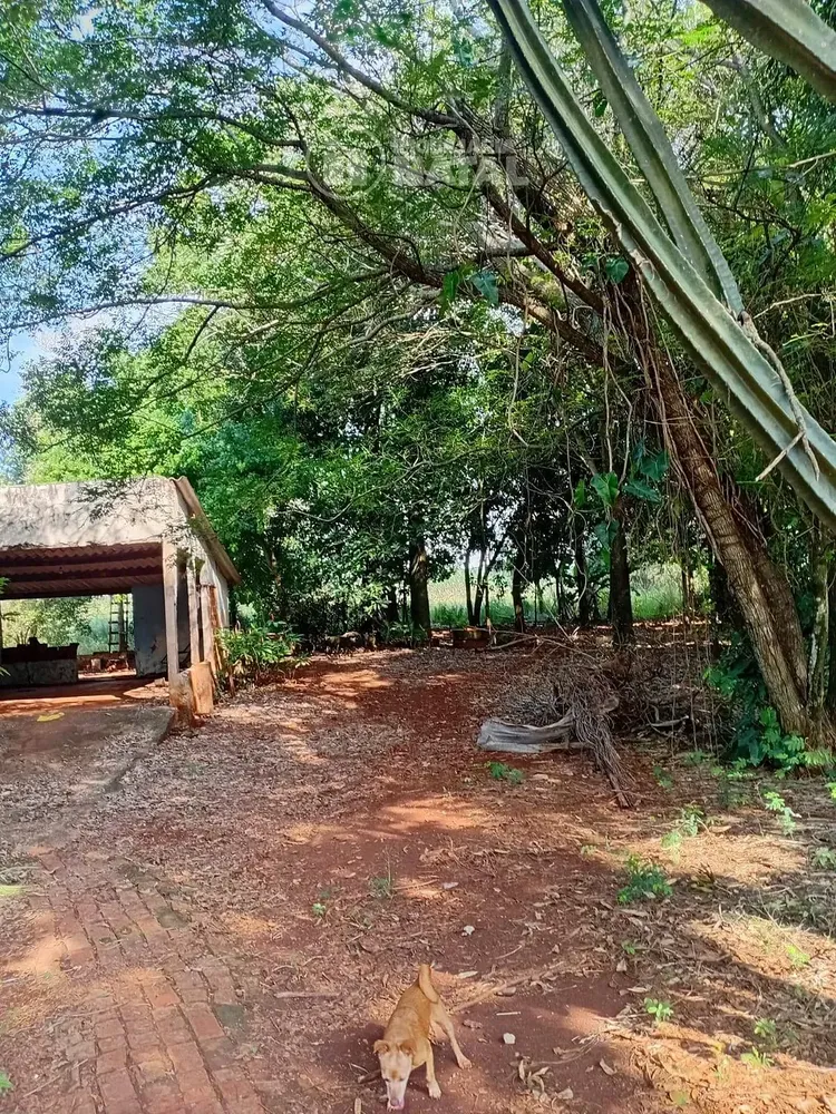 Chácara, 2 quartos, 5000 m² - Foto 5