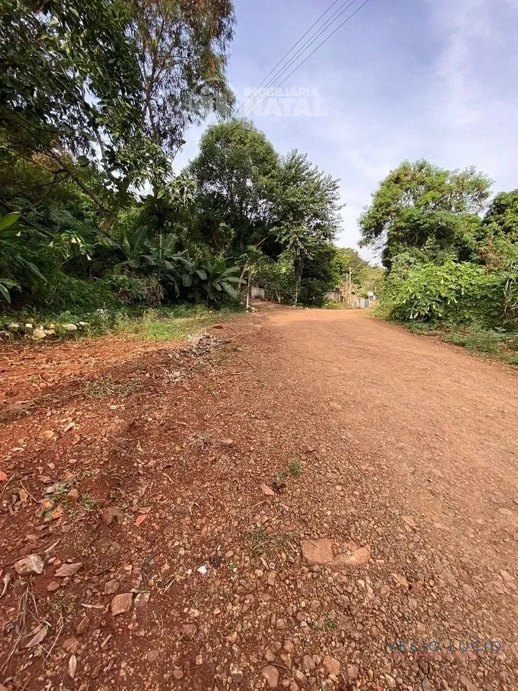 Chácara, 1 quarto, 2424 m² - Foto 4