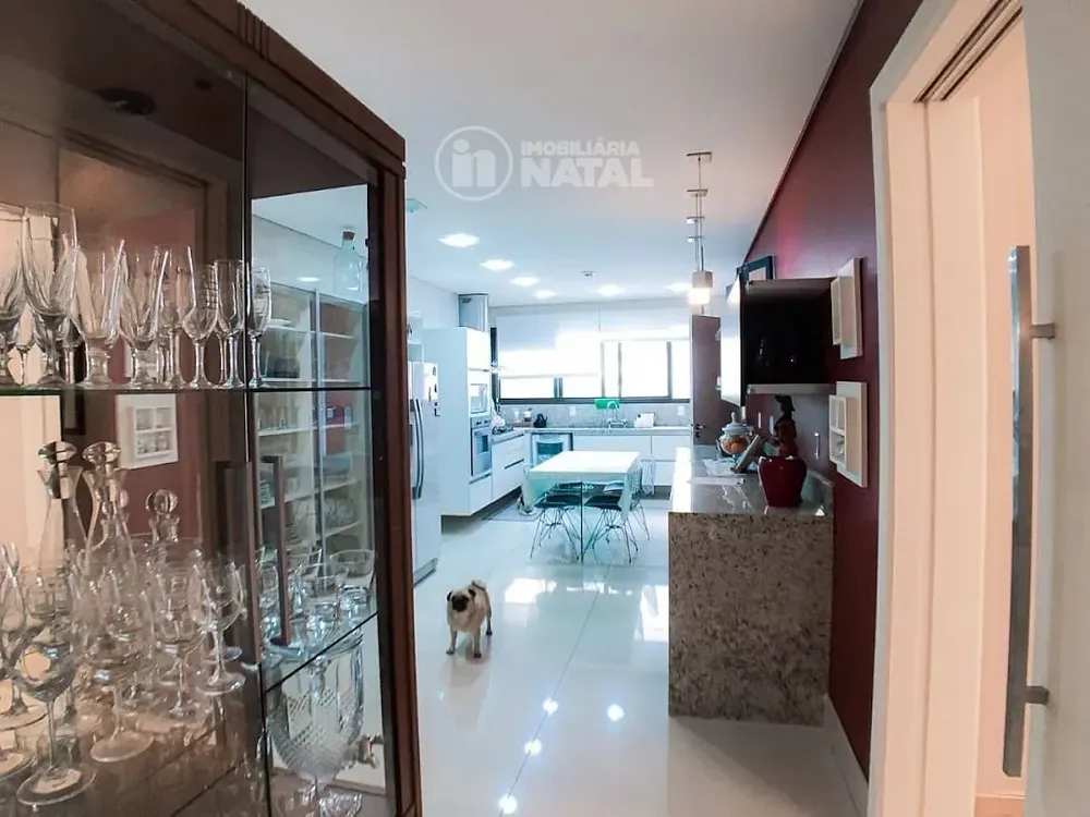 Apartamento, 4 quartos, 445 m² - Foto 1
