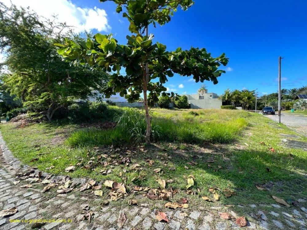 Terreno, 1100 m² - Foto 3