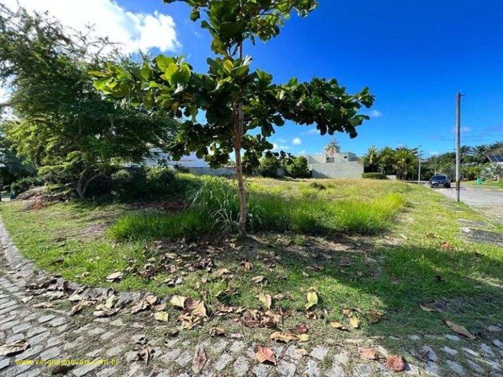 Terreno, 1100 m² - Foto 2