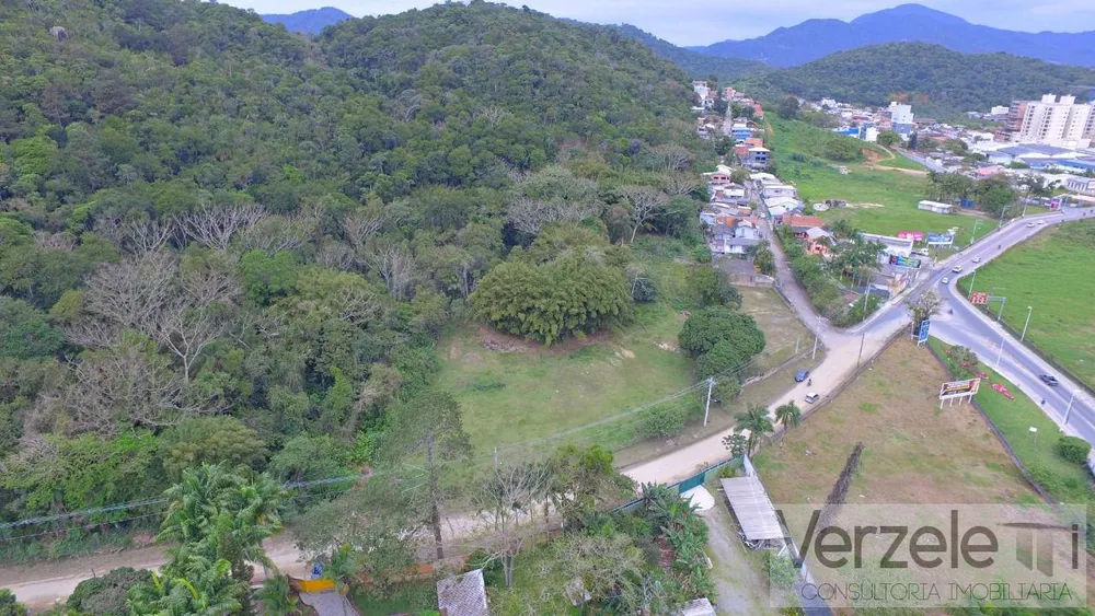 Terreno, 3 hectares - Foto 2