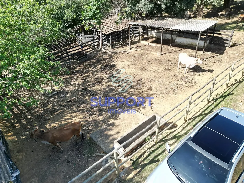 Terreno, 15 hectares - Foto 4