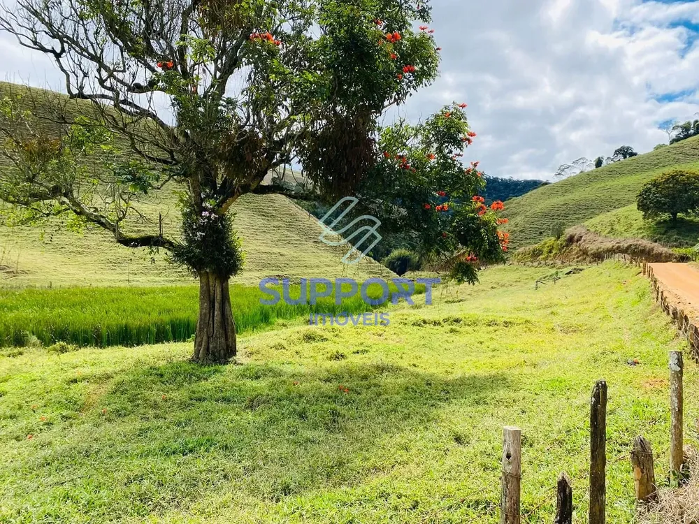 Terreno, 34 hectares - Foto 4