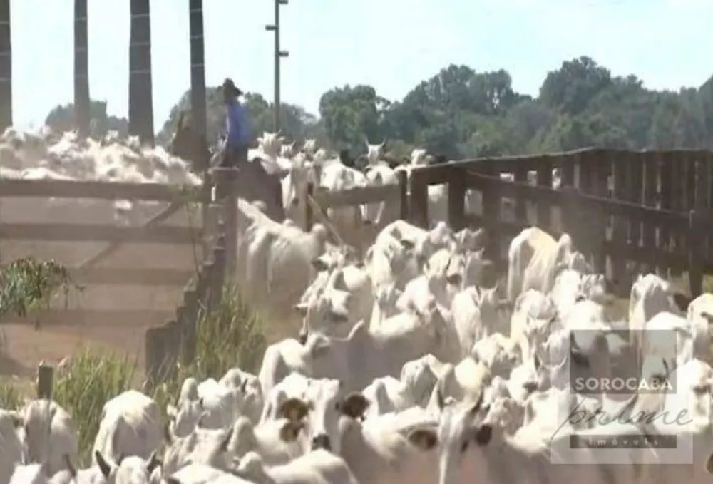 Fazenda, 427000 hectares - Foto 2