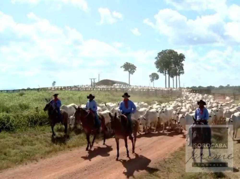 Fazenda, 427000 hectares - Foto 3