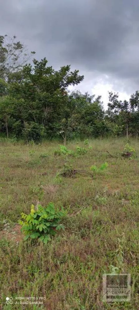 Fazenda, 2679 hectares - Foto 2