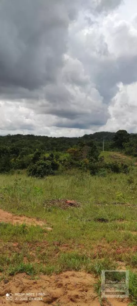Fazenda, 2679 hectares - Foto 4