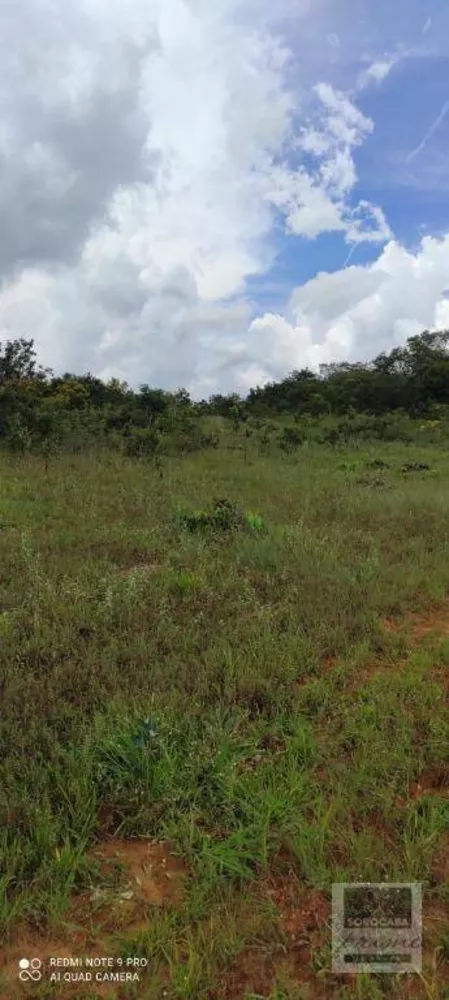 Fazenda, 2679 hectares - Foto 3
