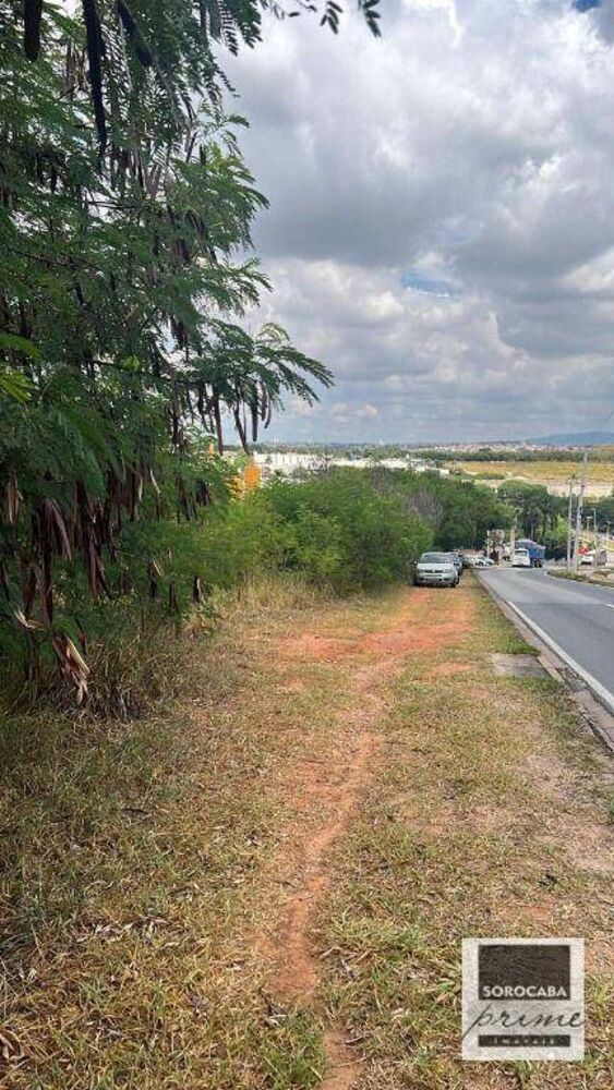 Terreno, 3 hectares - Foto 4