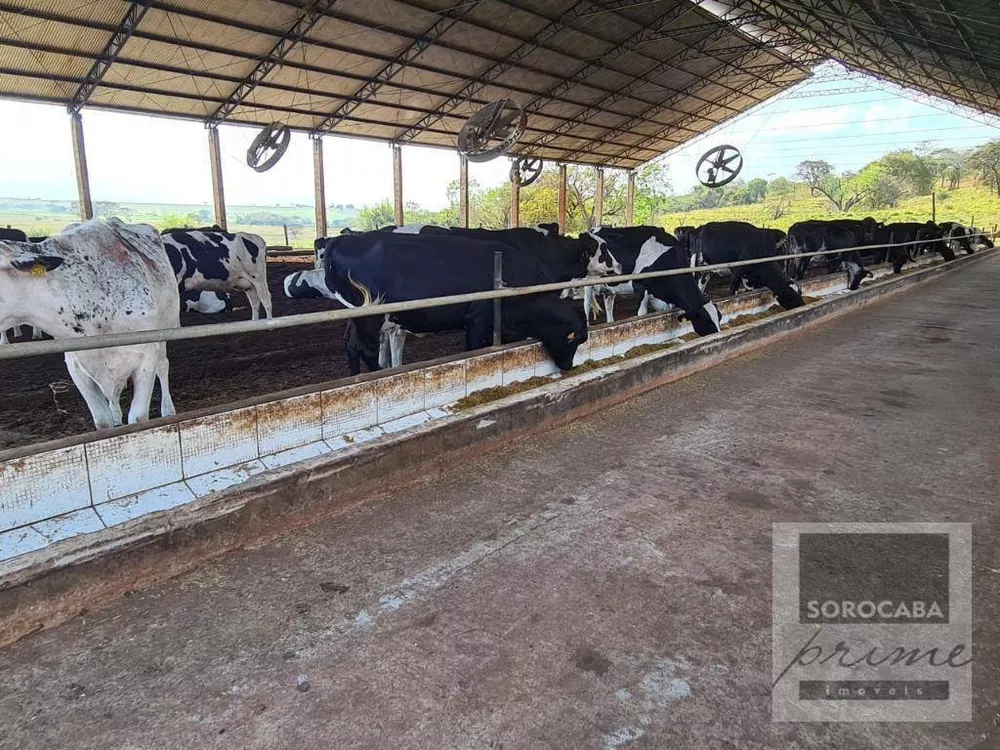 Fazenda, 75 hectares - Foto 1