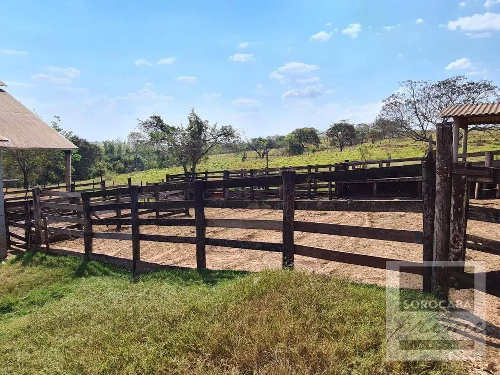 Fazenda, 75 hectares - Foto 3