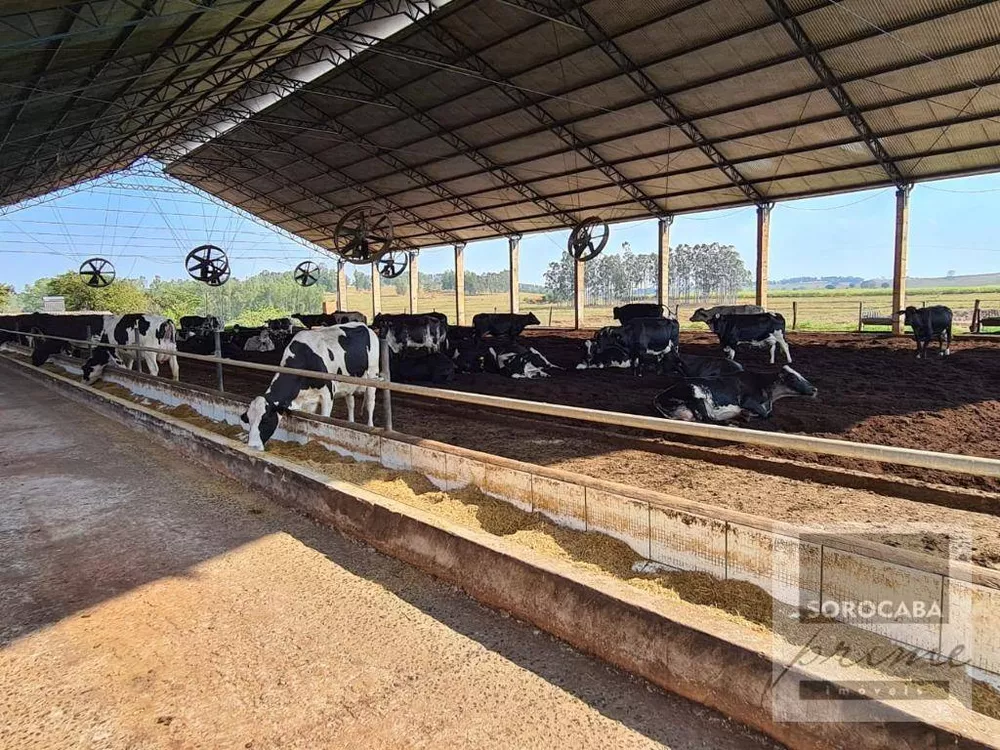 Fazenda, 75 hectares - Foto 4