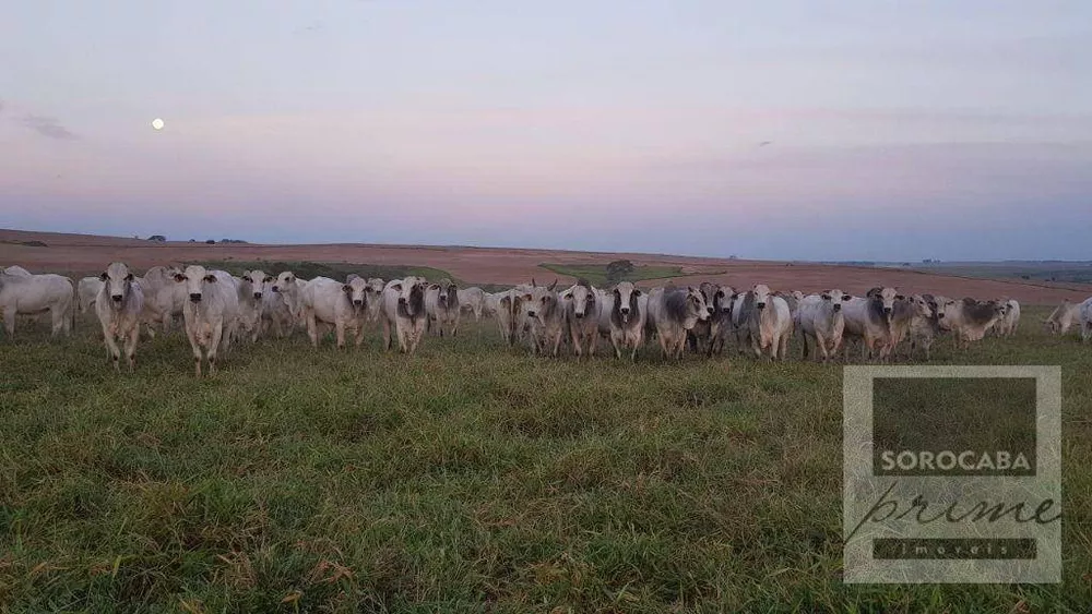 Fazenda, 2614 hectares - Foto 1