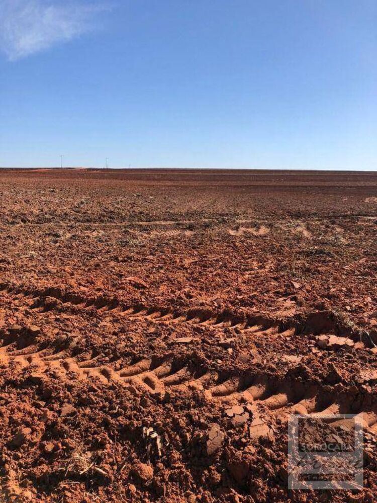 Fazenda, 2614 hectares - Foto 10