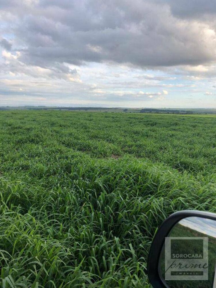 Fazenda, 2614 hectares - Foto 8