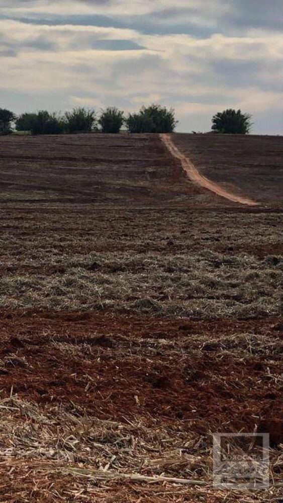 Fazenda, 2614 hectares - Foto 9