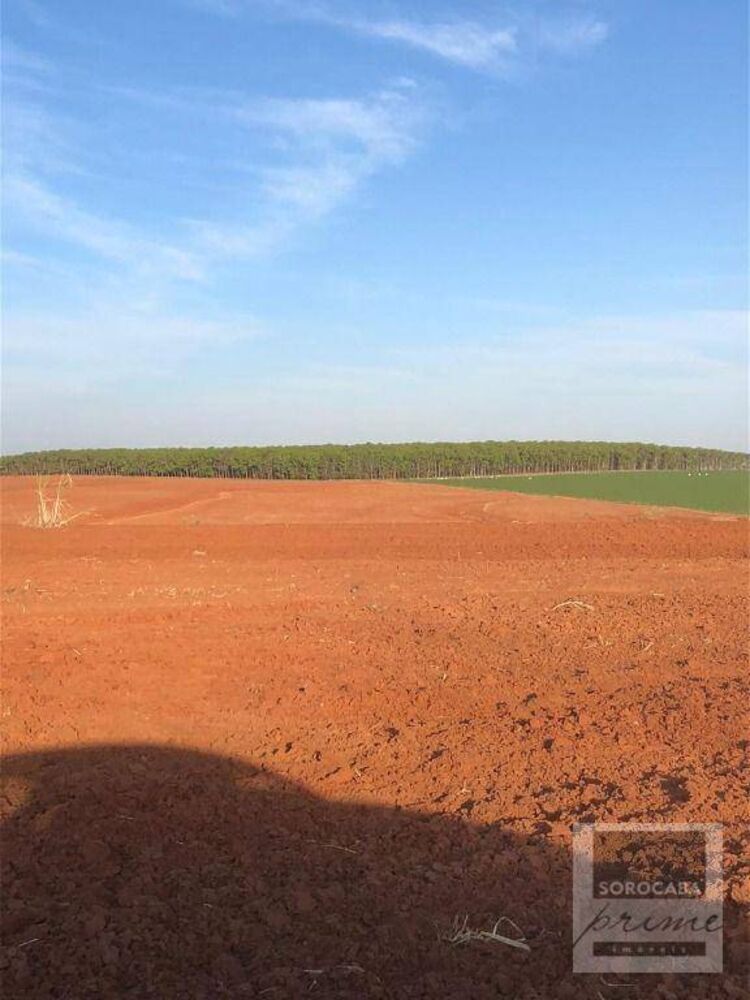 Fazenda, 2614 hectares - Foto 5