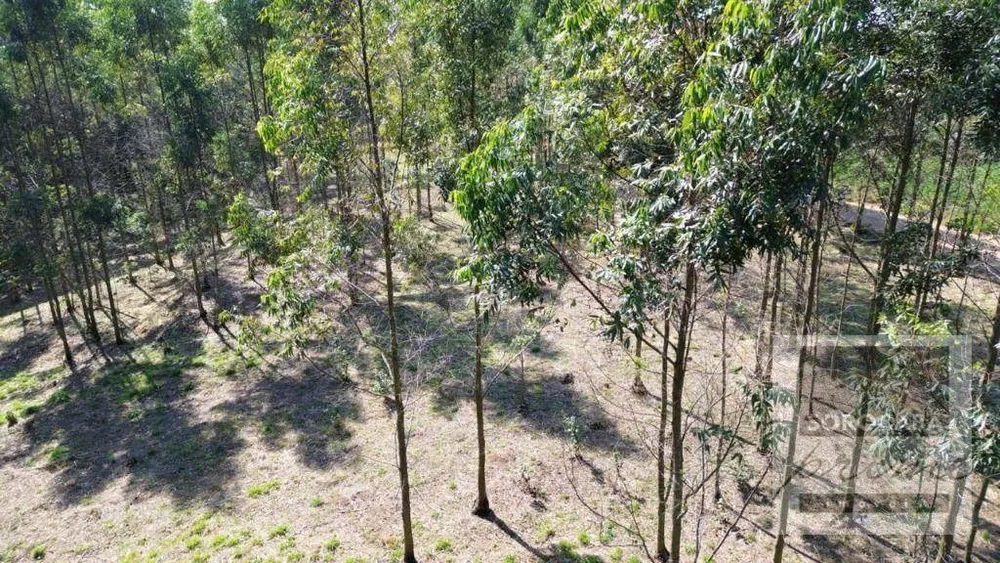 Terreno, 1000 m² - Foto 2