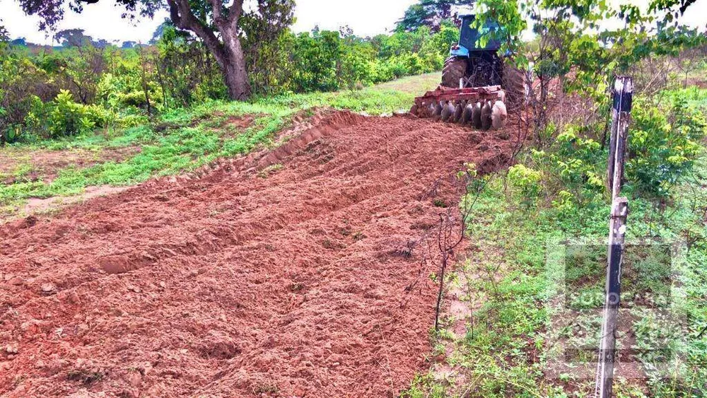 Fazenda, 1021 hectares - Foto 4