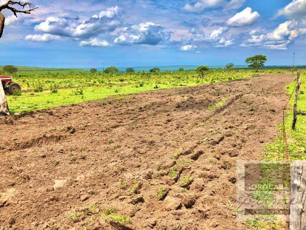 Fazenda, 1021 hectares - Foto 1