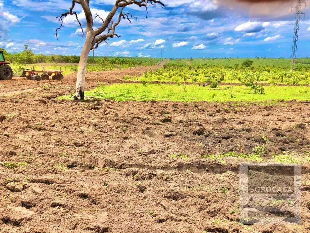 Fazenda, 1021 hectares - Foto 3