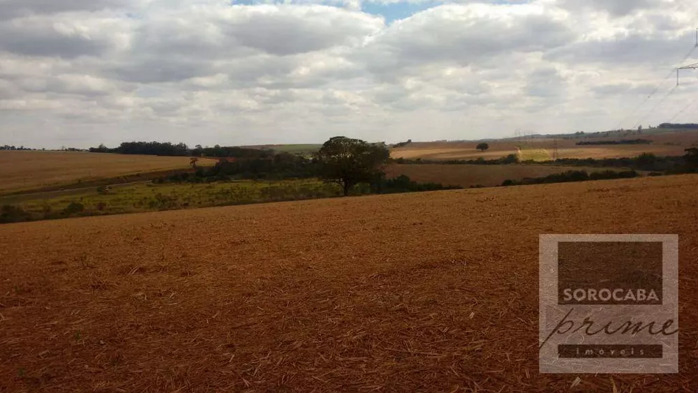 Fazenda, 532 hectares - Foto 3