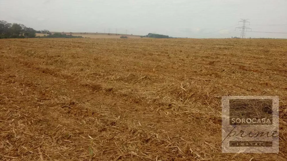 Fazenda, 532 hectares - Foto 6