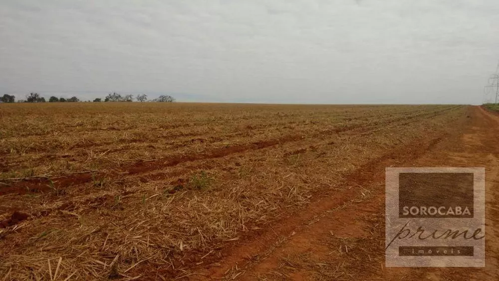 Fazenda, 532 hectares - Foto 4