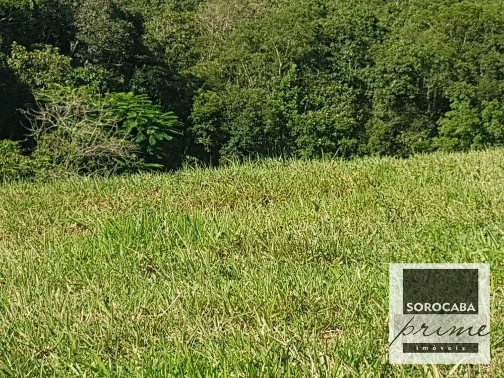 Fazenda, 20 hectares - Foto 4