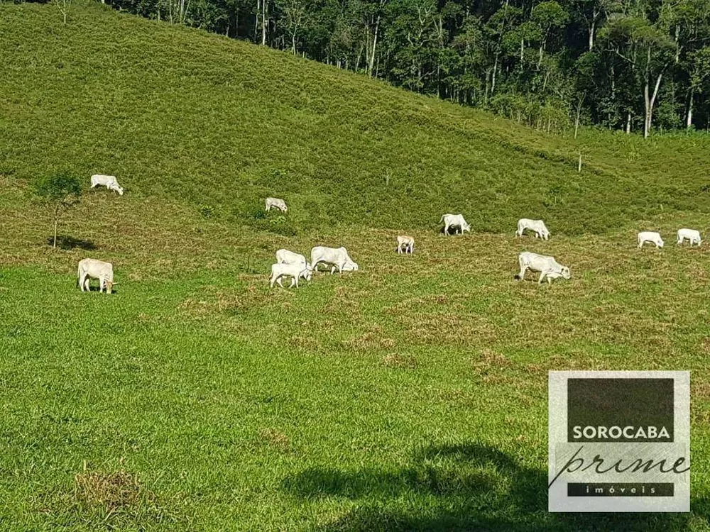 Fazenda, 20 hectares - Foto 3