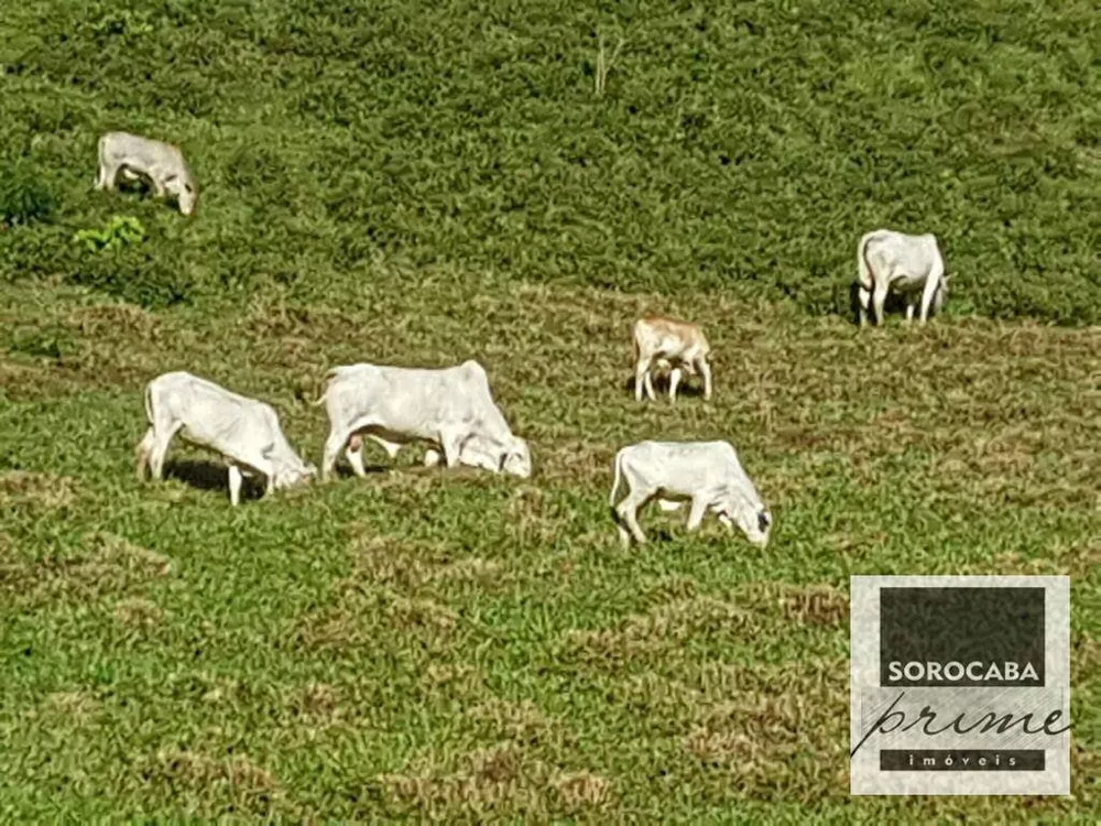 Fazenda, 20 hectares - Foto 1