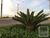 Terreno, 250 m² - Foto 9