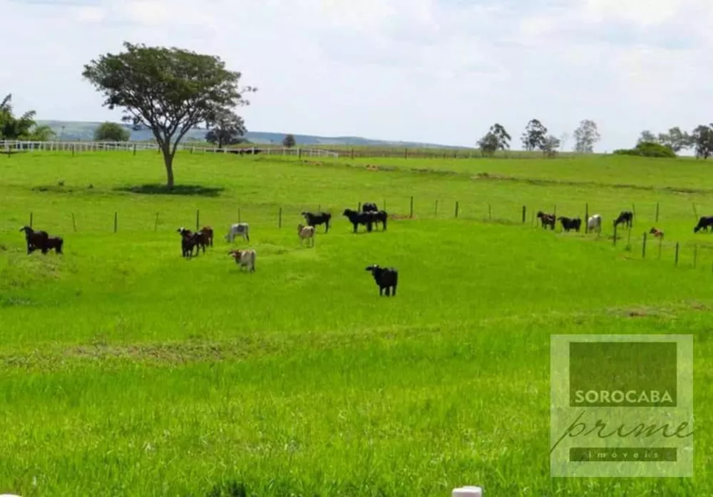 Fazenda, 767 hectares - Foto 2