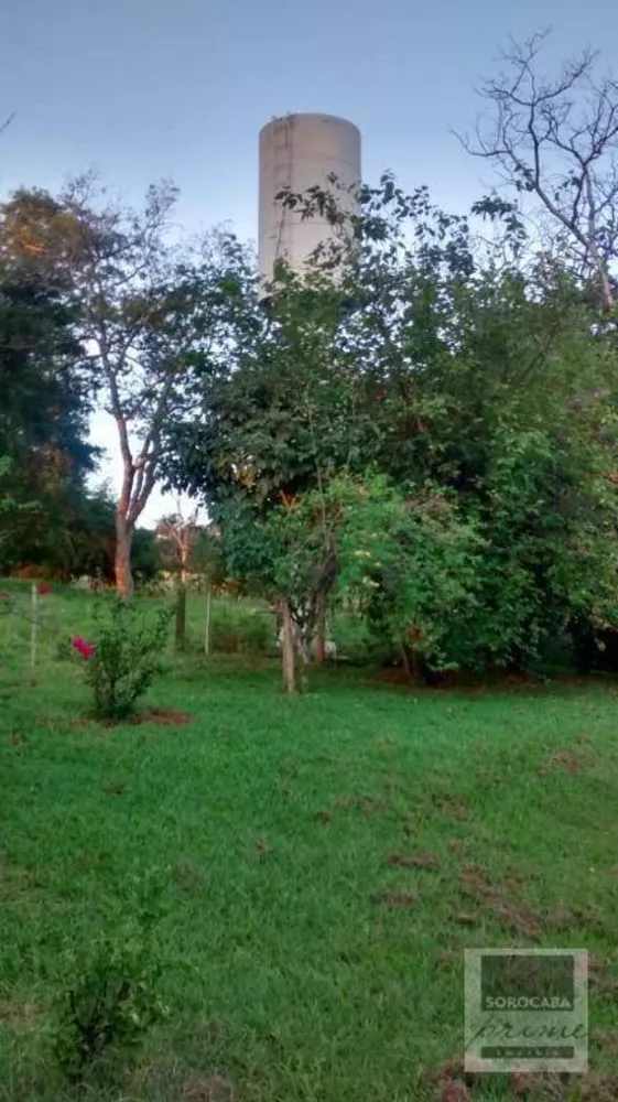 Fazenda, 58 hectares - Foto 2