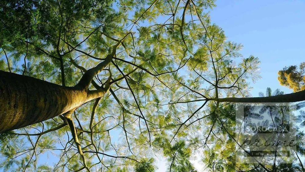 Casa de Condomínio, 5 quartos - Foto 6